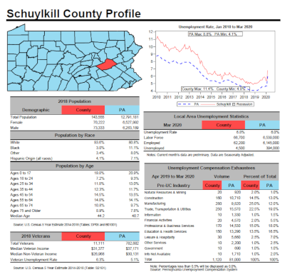 schuylkill county tax maps